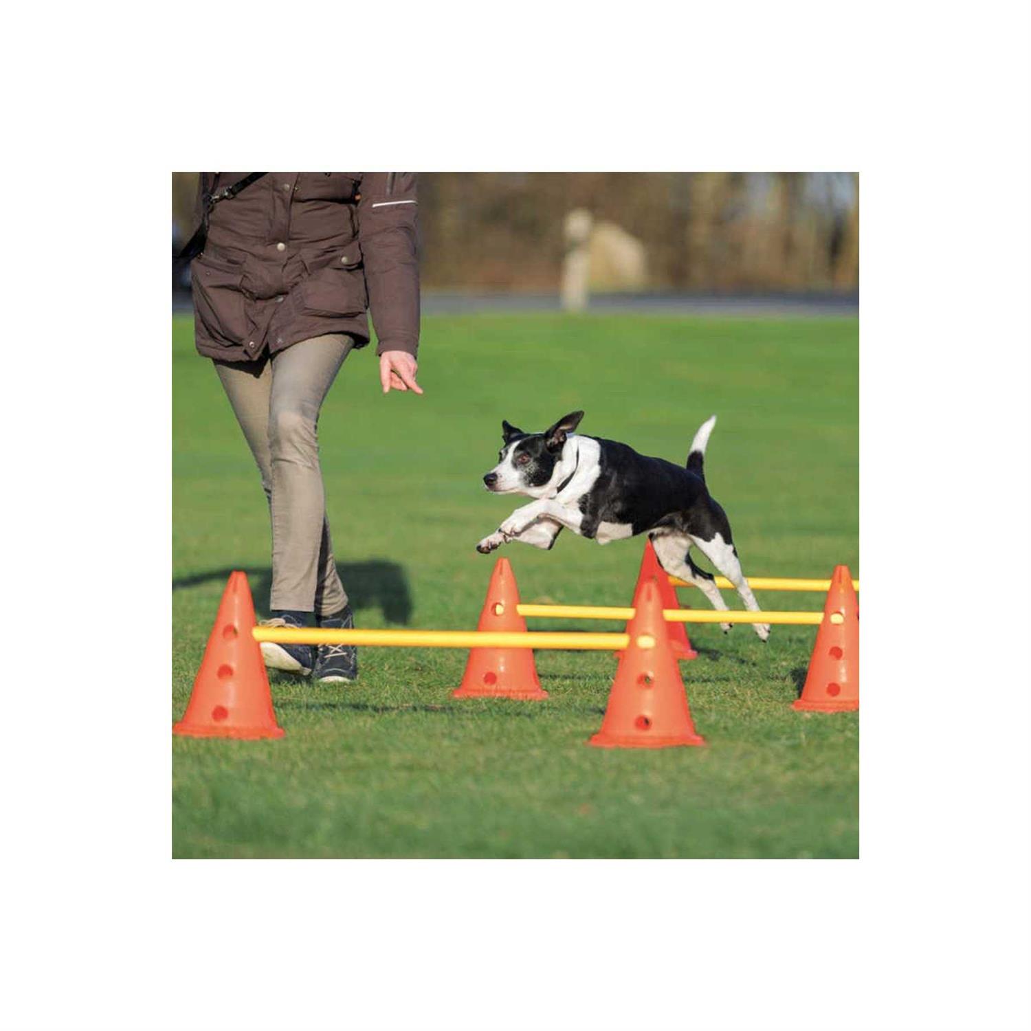 Trixie Dog Agility Hurdle Cone Set