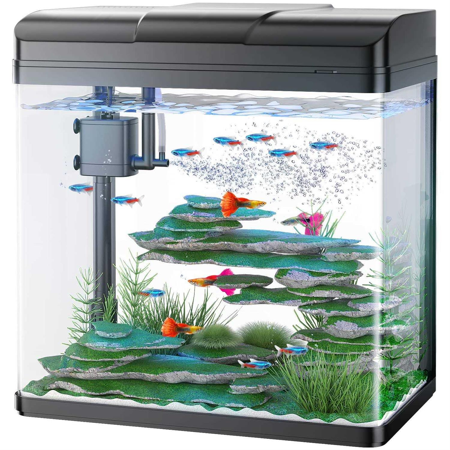 Pondon 5 Gallon Fish Tank, Glass Aquarium with Air Pump, LED Cool Lights and Filter