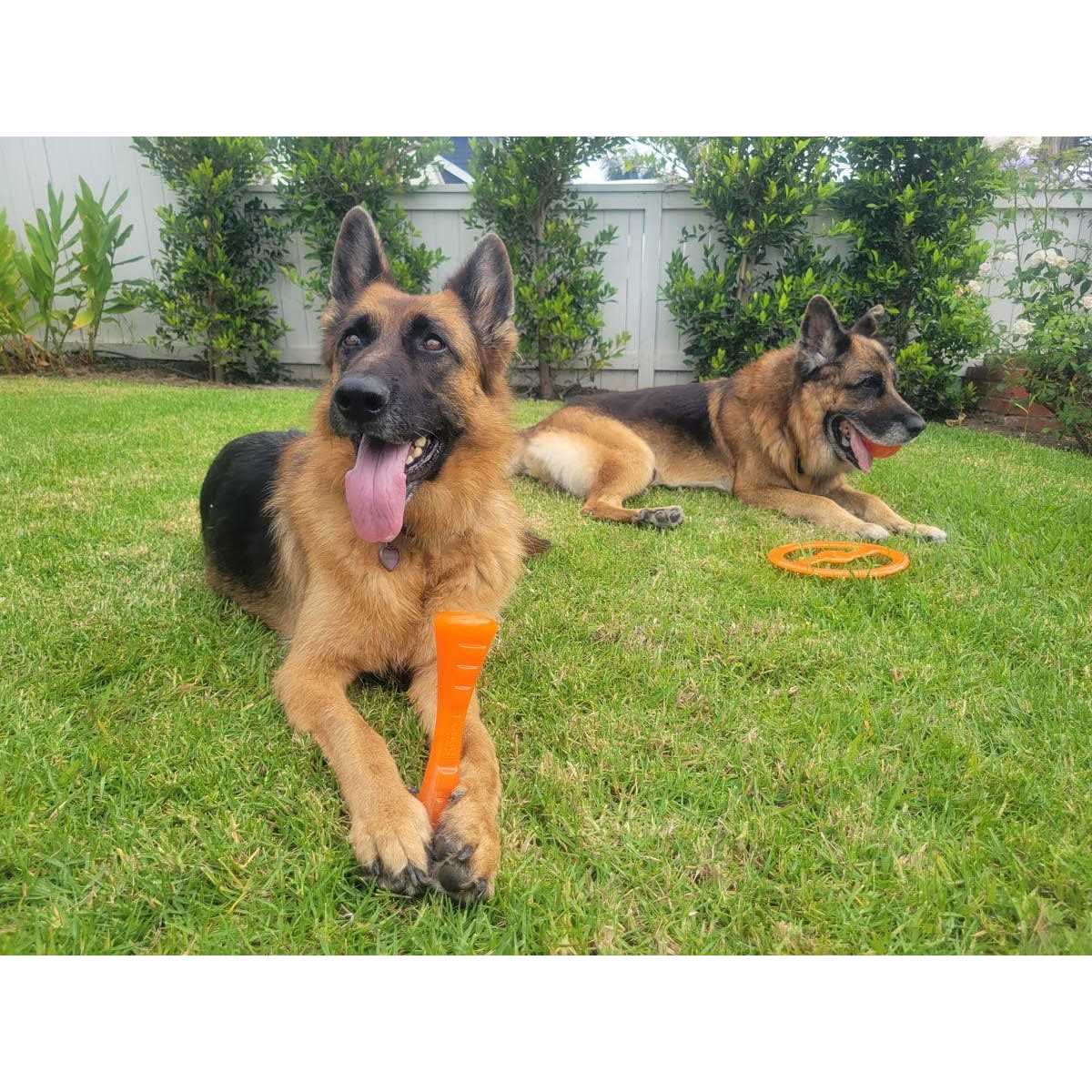 Bionic Urban Stick Dog Toy