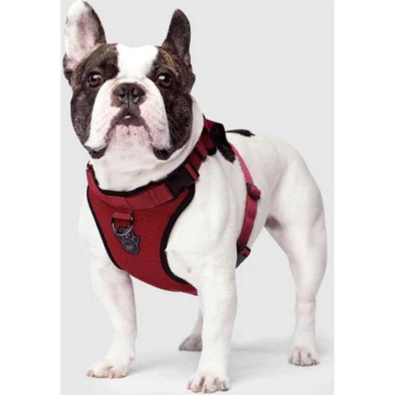 Canada Pooch Dog Everything Harness