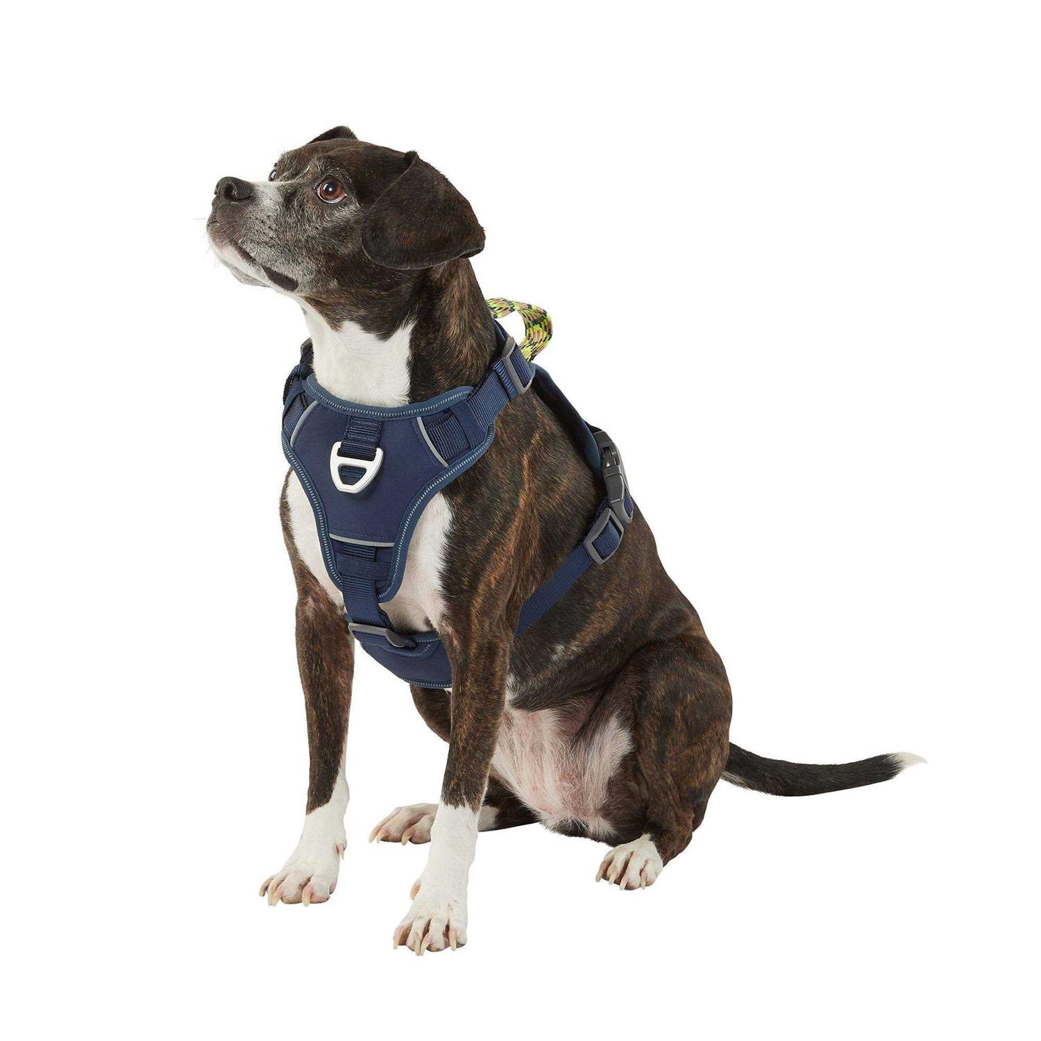 Arcadia Trail Navy Quick-Dry Dog Harness