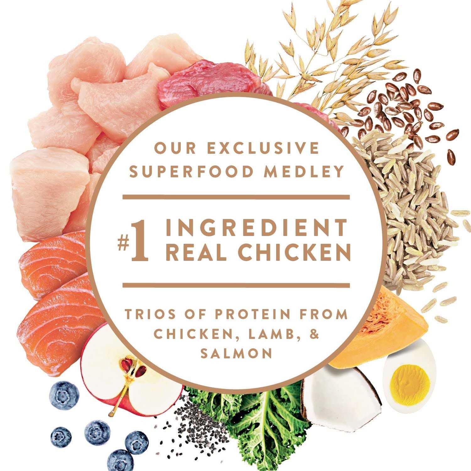 Nutro Ultra Senior Dry Dog Food