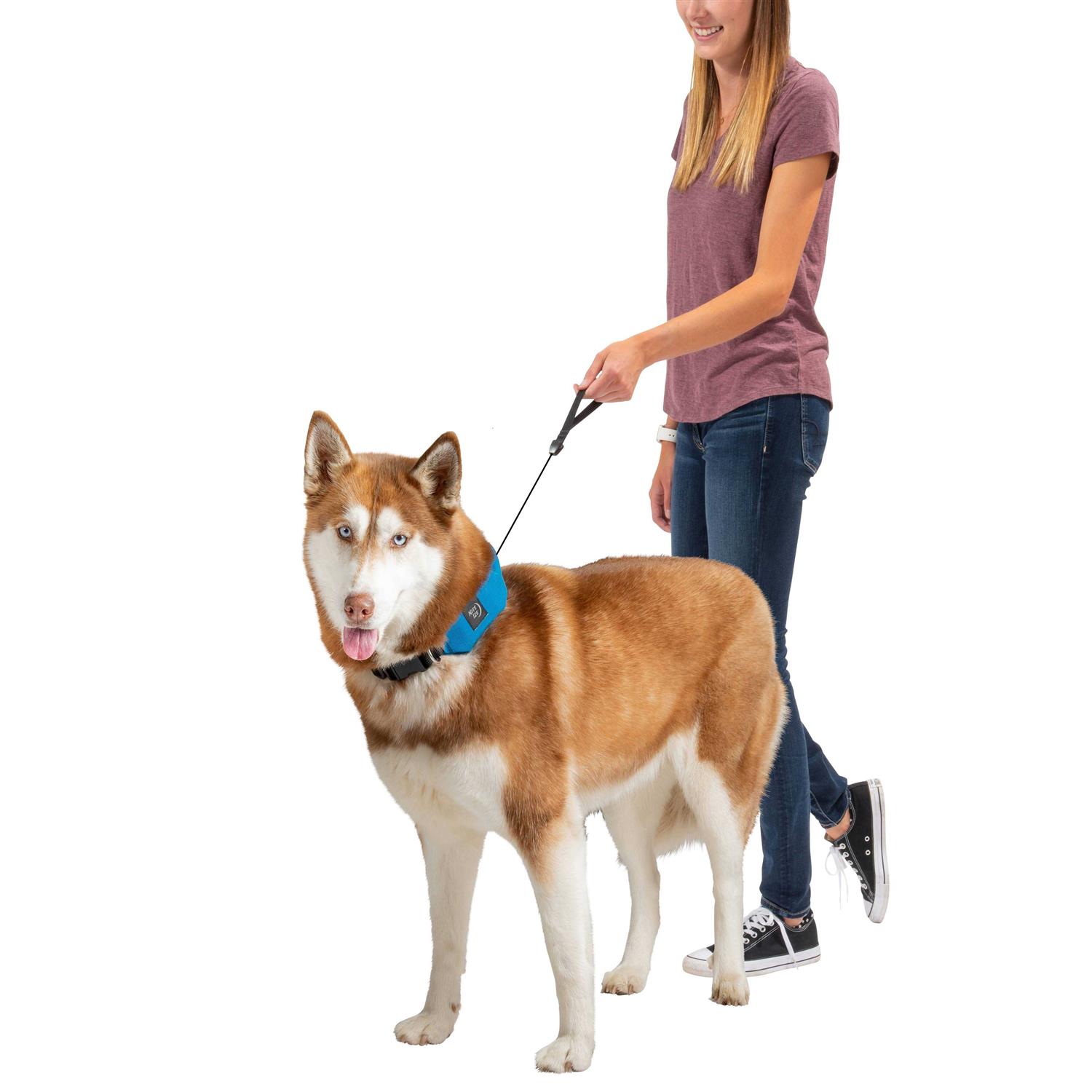 Nite Ize RadDog All-In-One Collar and Leash
