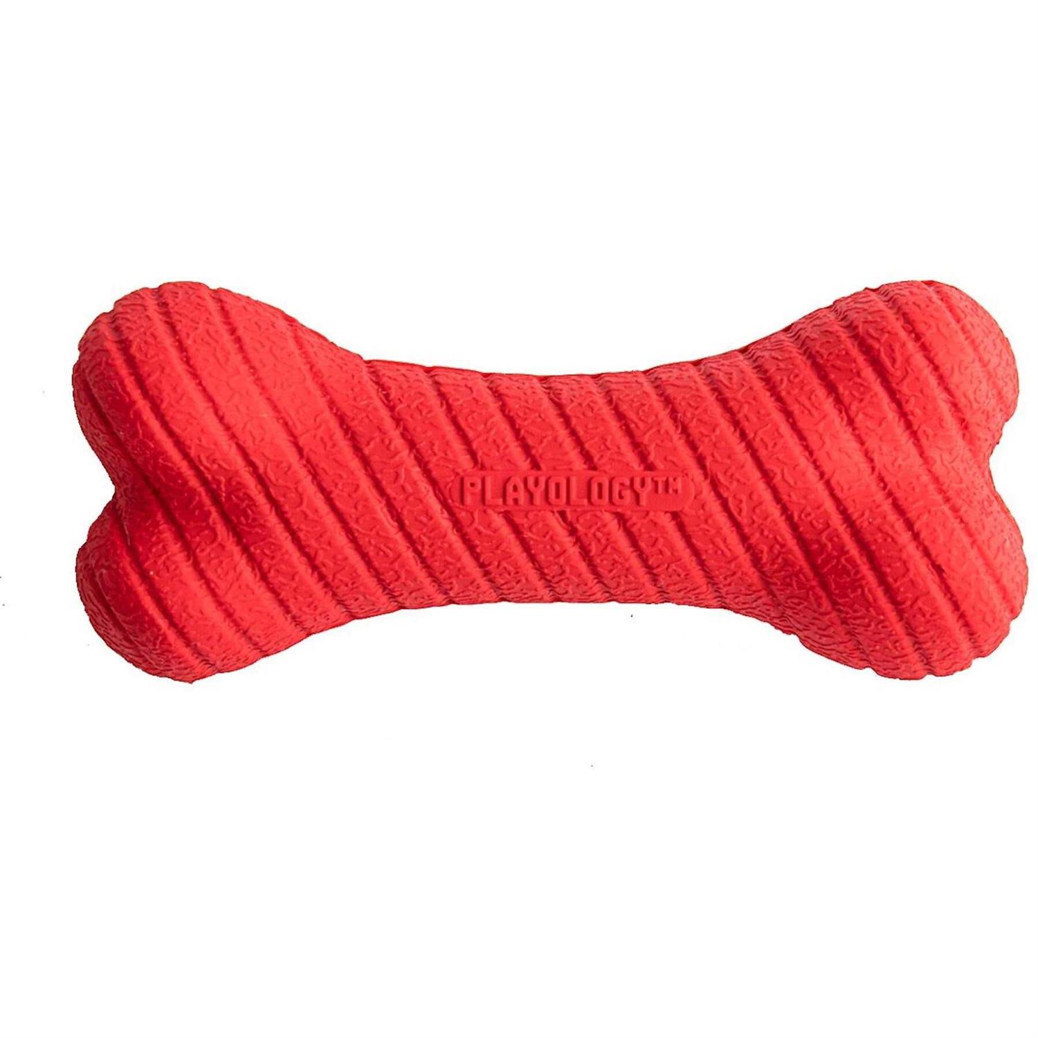 Playology Dual Layer Bone Dog Toy