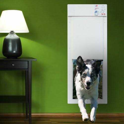 High Tech Pet Power Pet Motorized Door