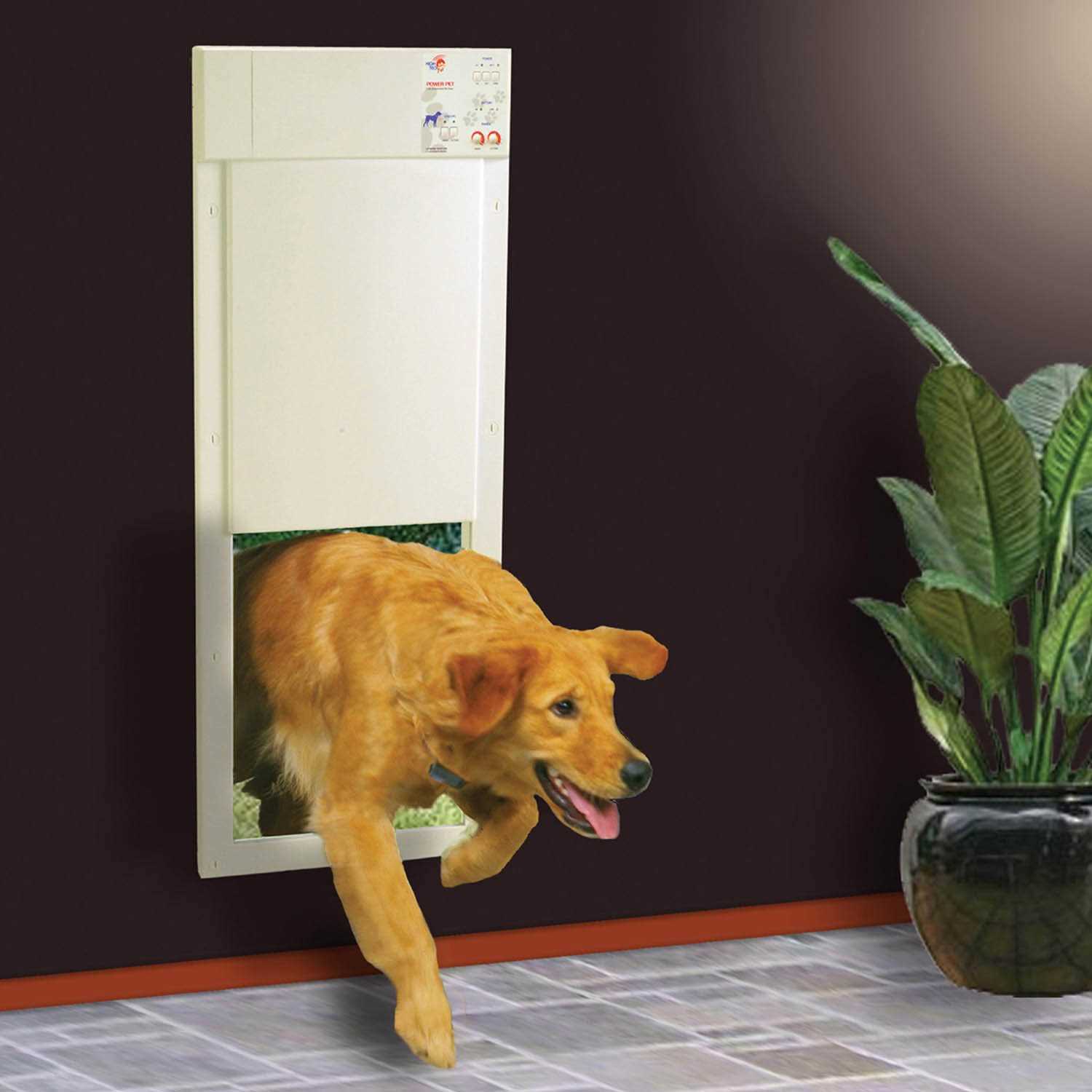 High Tech Pet Power Pet Motorized Door