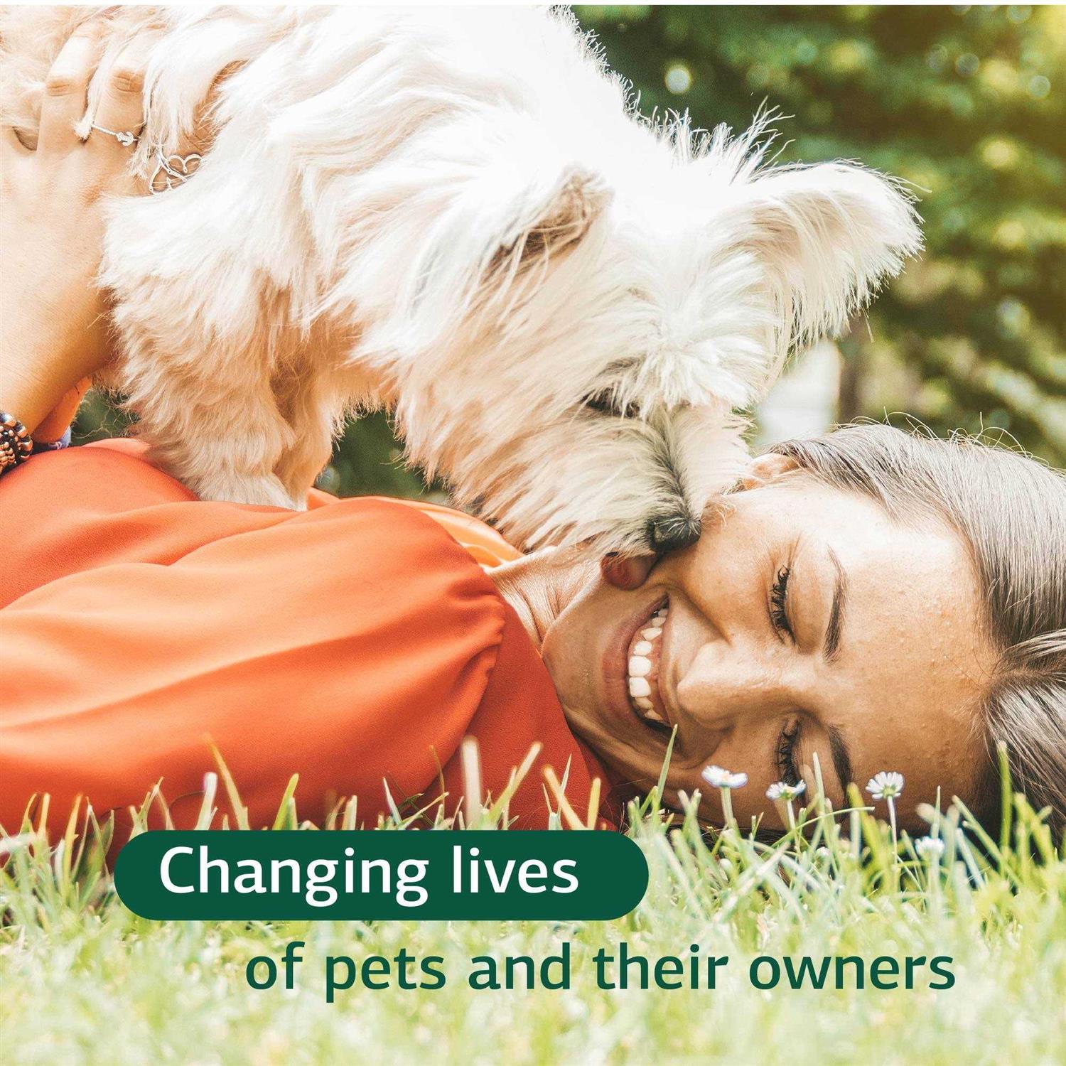 Canine Hepatic Support