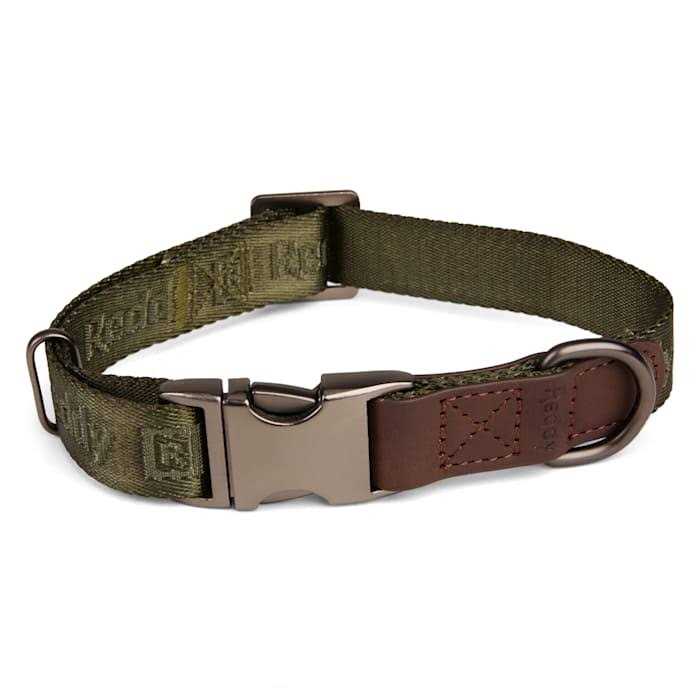Reddy Dog Collar Jacquard