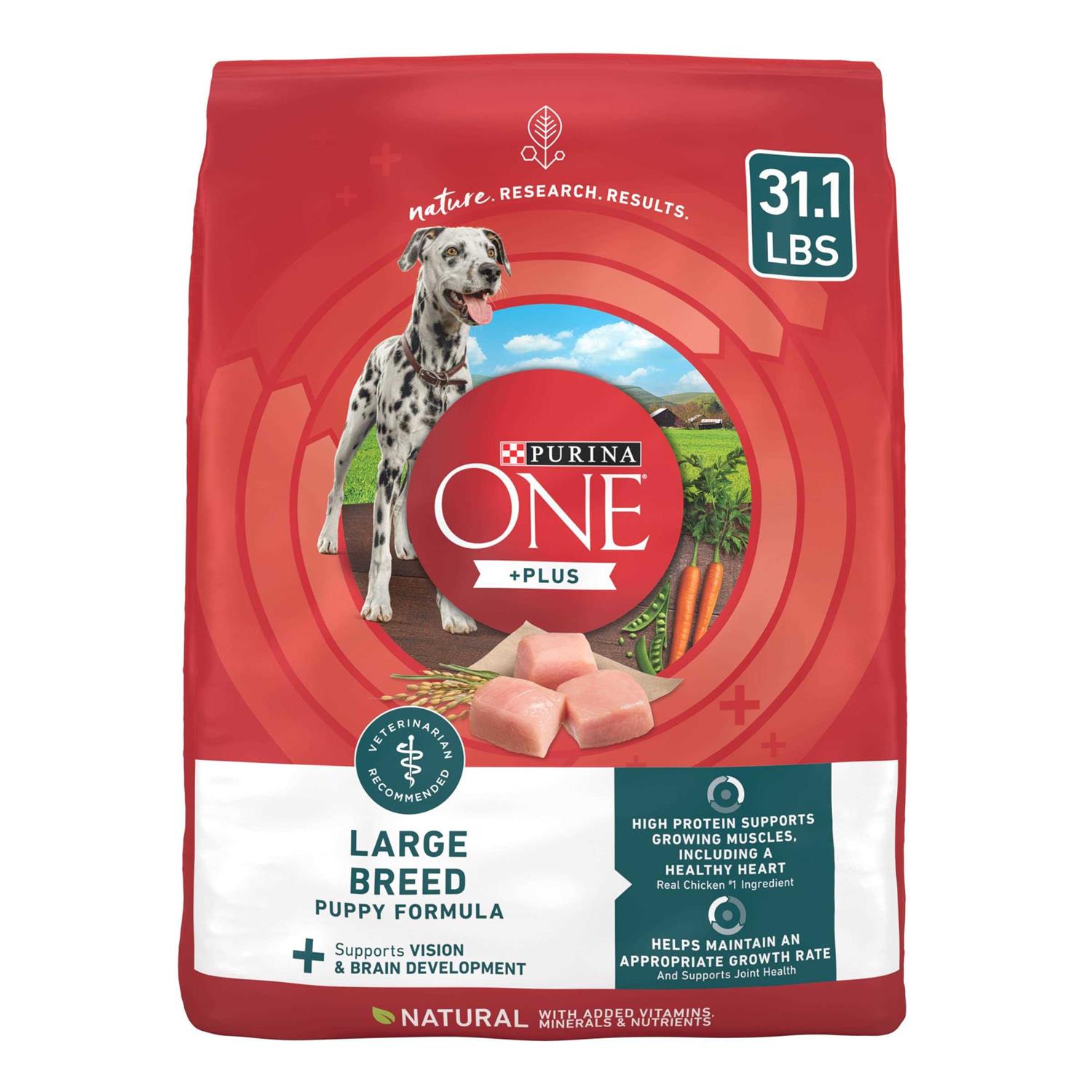 Purina ONE Large Breed Puppy Formula Dry Dog Food