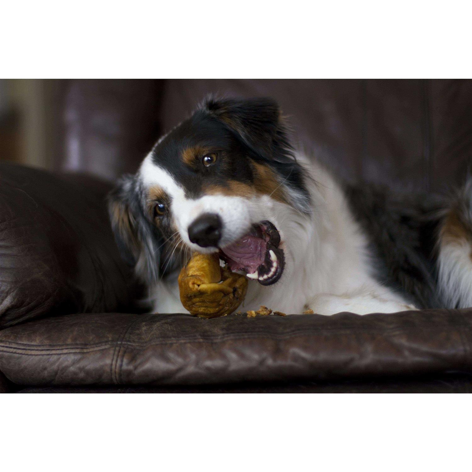 Redbarn Piggy Puffs Dog Treats