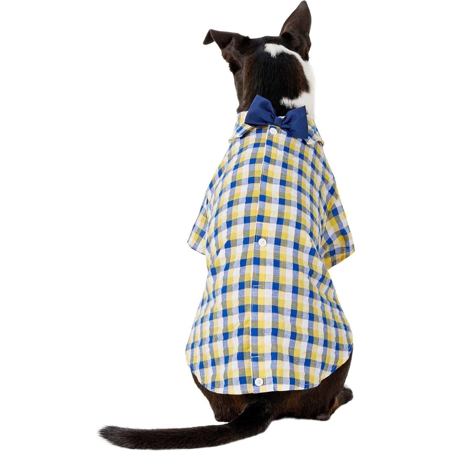 Living World Singing Parakeet