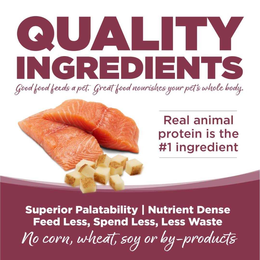 PureVita Salmon Potato Dry Dog Food
