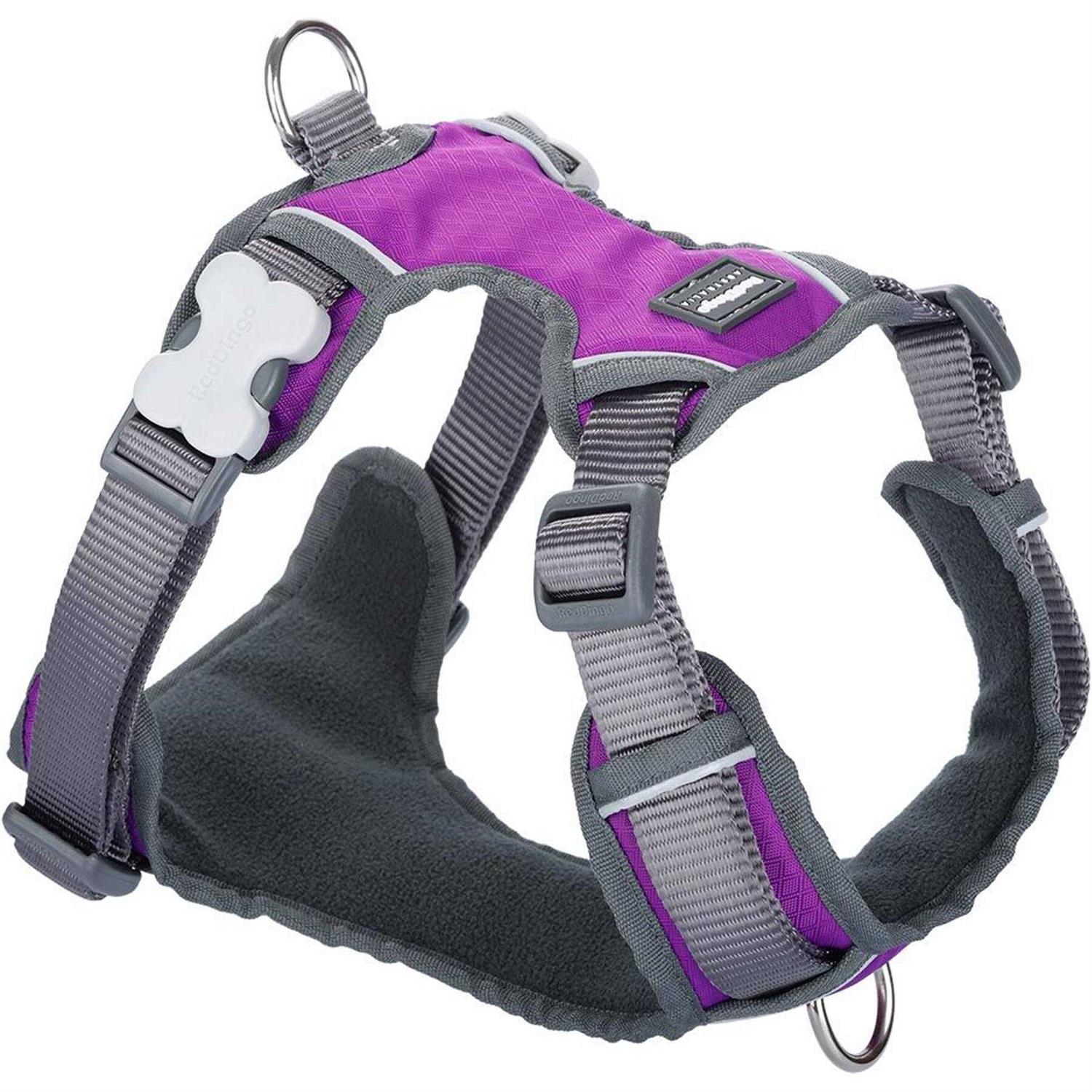 Dog Harness Red Dingo Padded