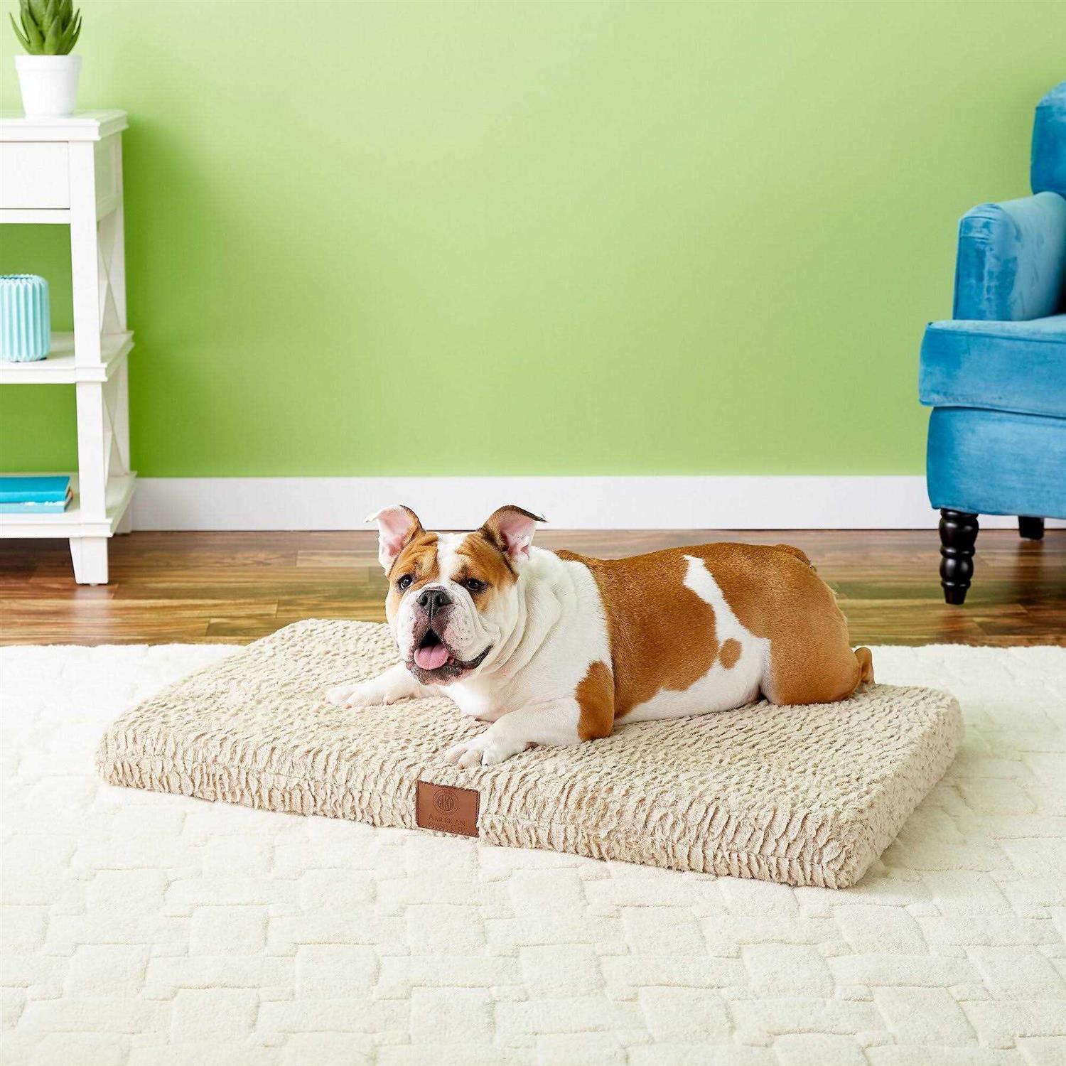 American Kennel Club Orthopedic Dog Crate Mat