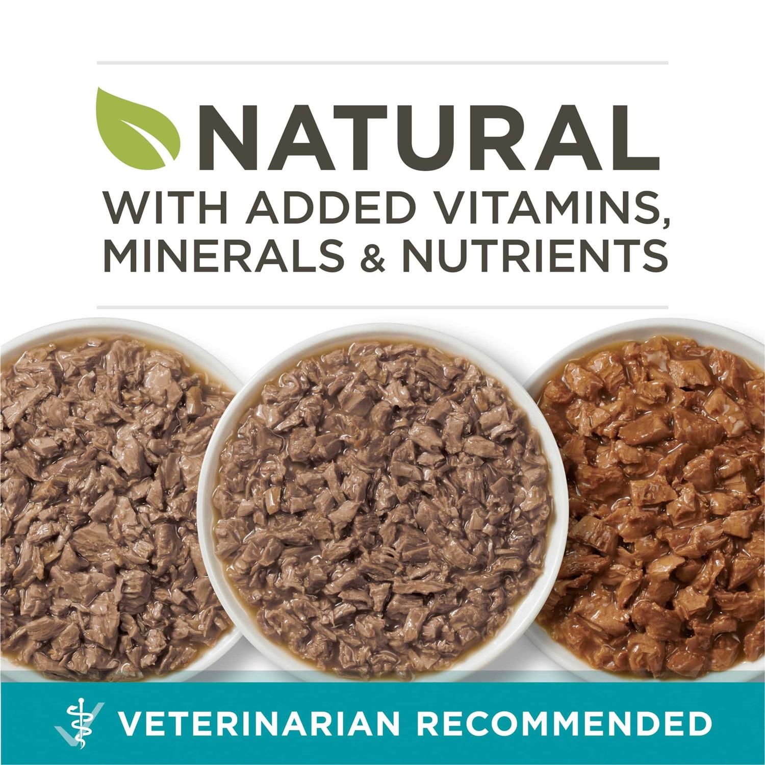Purina ONE True Instinct Variety Pack Chicken Wet Cat Food
