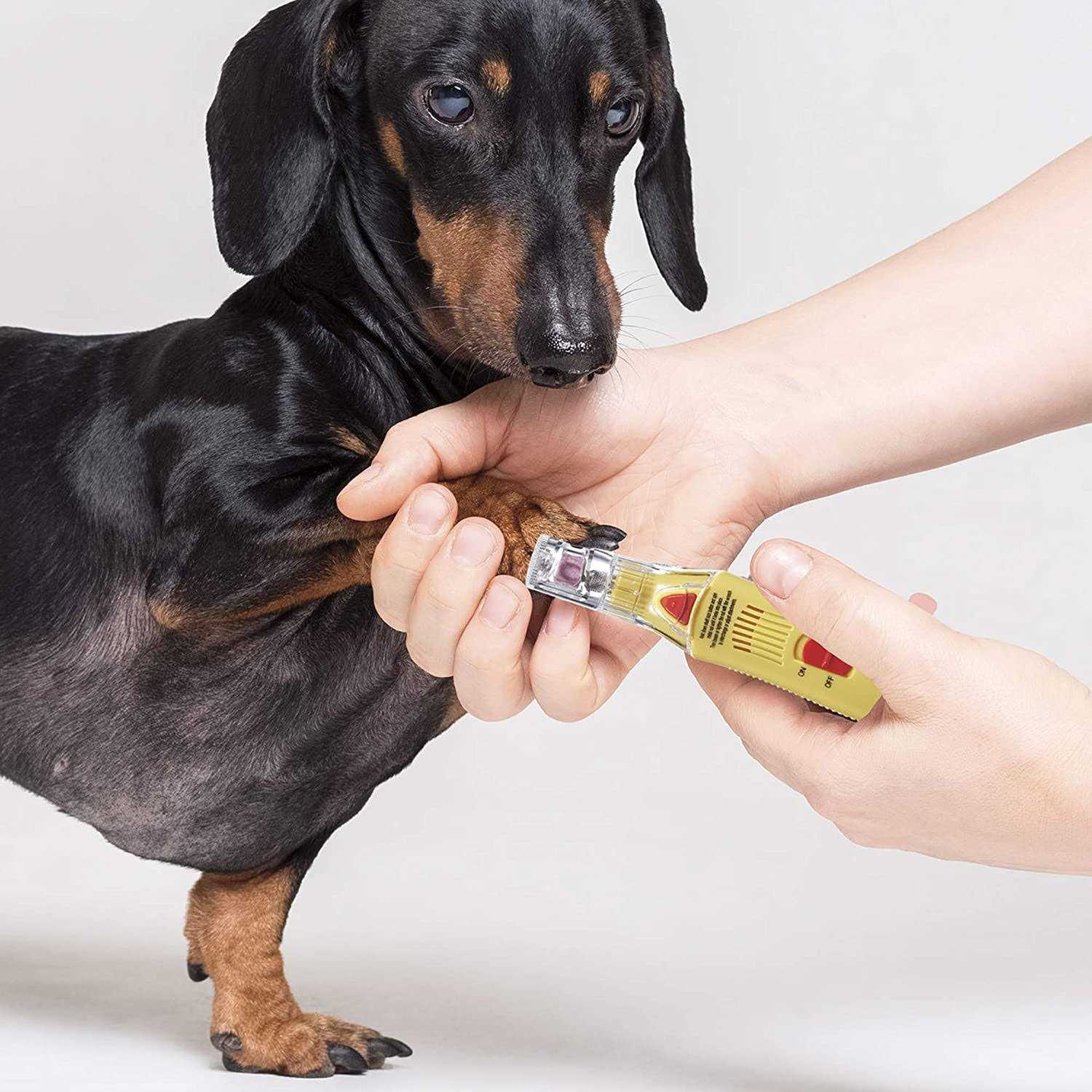 ConairPRO Dog Professional Nail Grinder