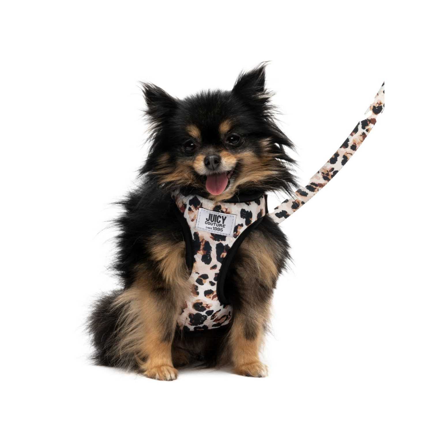 Juicy Couture Harness & Leash Set