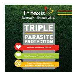 Trifexis for Dogs