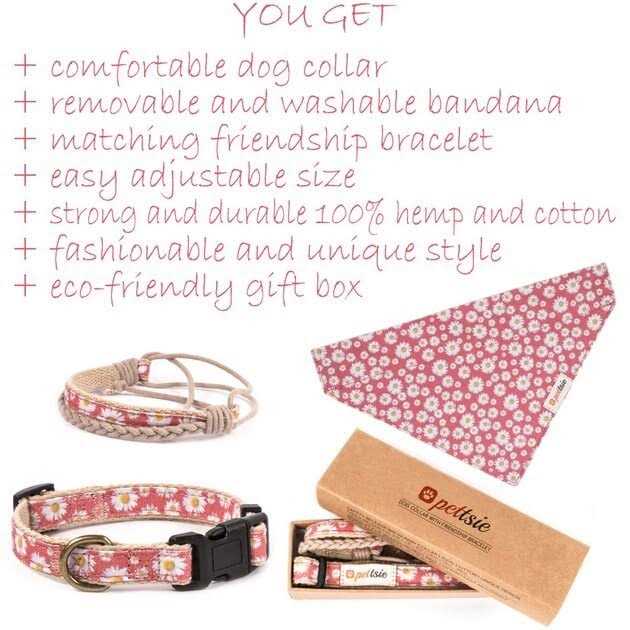Pettsie Matching Dog Collar, Bandana and Owner Friendship Bracelet Gift Box Included