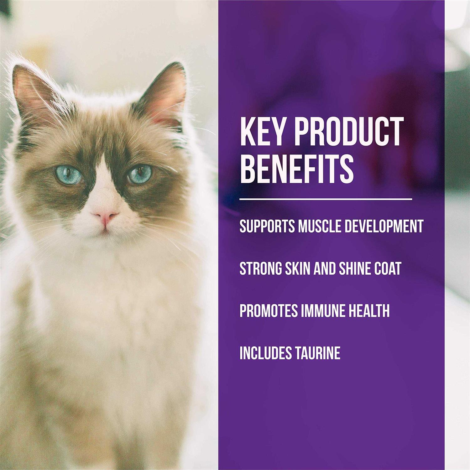 Fussie Cat Market Fresh Quail & Duck Meal Dry Cat Food