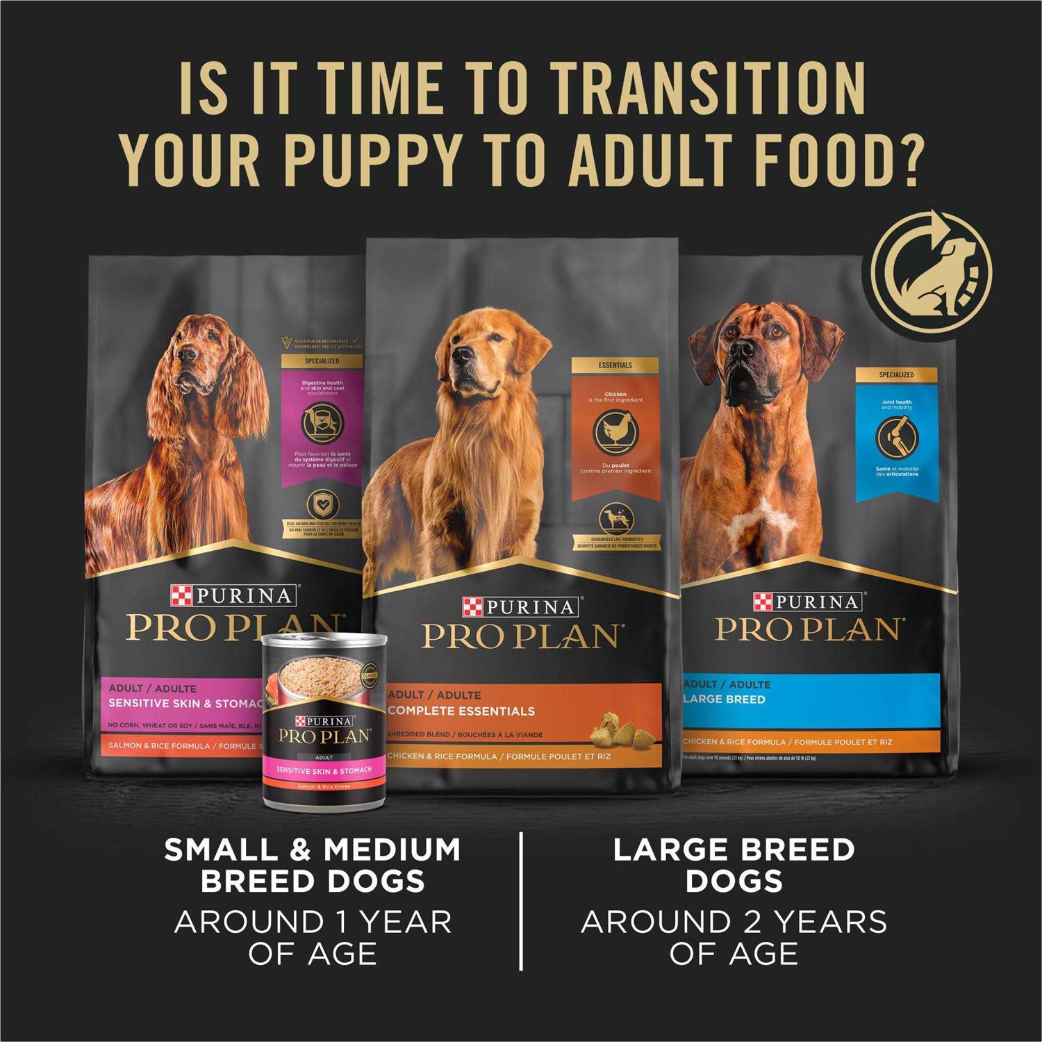 Purina Pro Plan Sensitive Skin & Stomach Dry Puppy Food