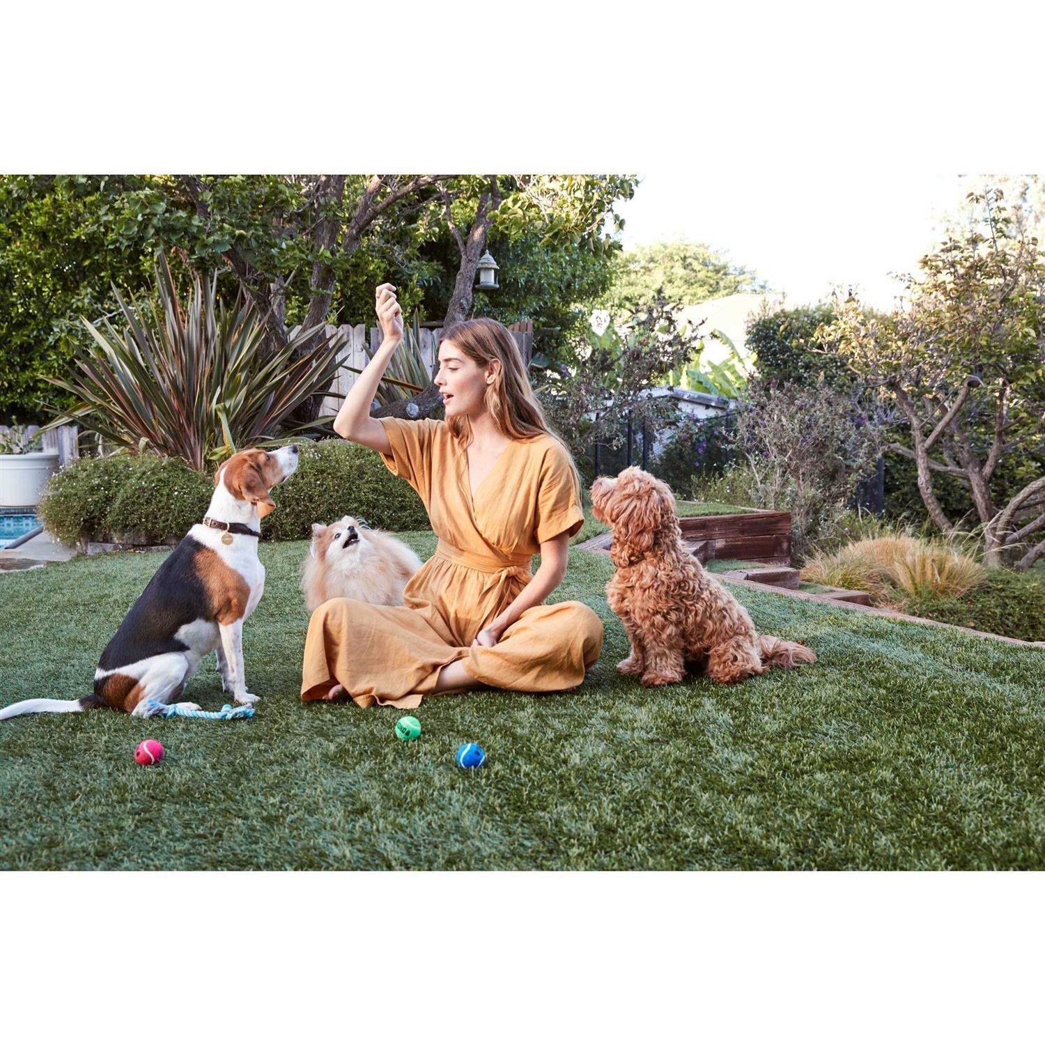 Full Moon Dog Treats Chicken Recipe