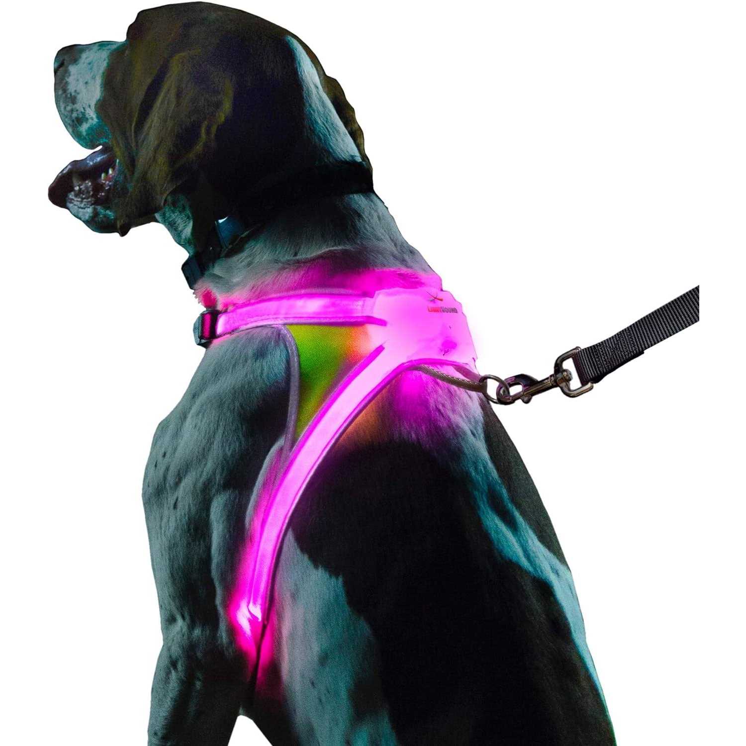 Noxgear LightHound LED Illuminated & Reflective Dog Harness