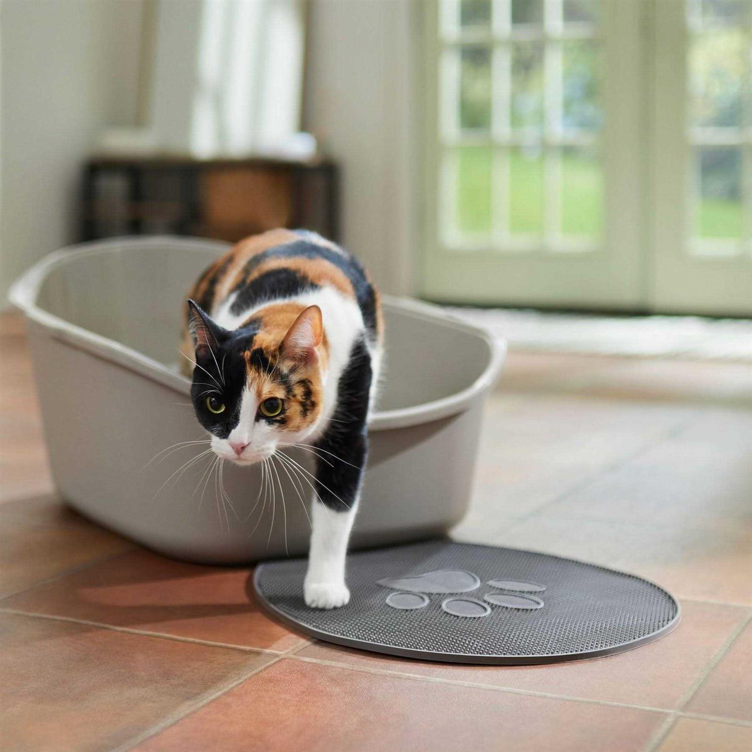 Frisco High Back Cat Litter Box