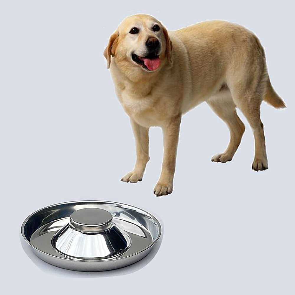 ballmount 2 Puppy Bowl Puppy Feeding Bowls for Small Dogs whelping Box Water Weaning Bowls