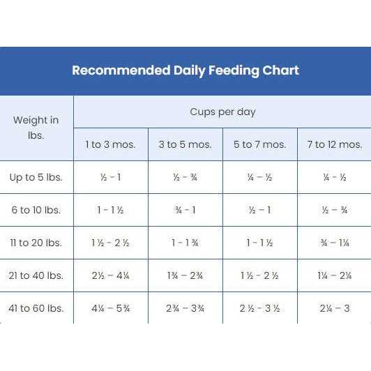 Blue Buffalo Wilderness High Protein Natural Puppy Dry Dog Food Chicken