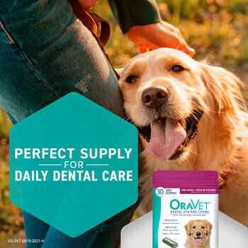 Oravet Dental Hygiene Chews Dogs