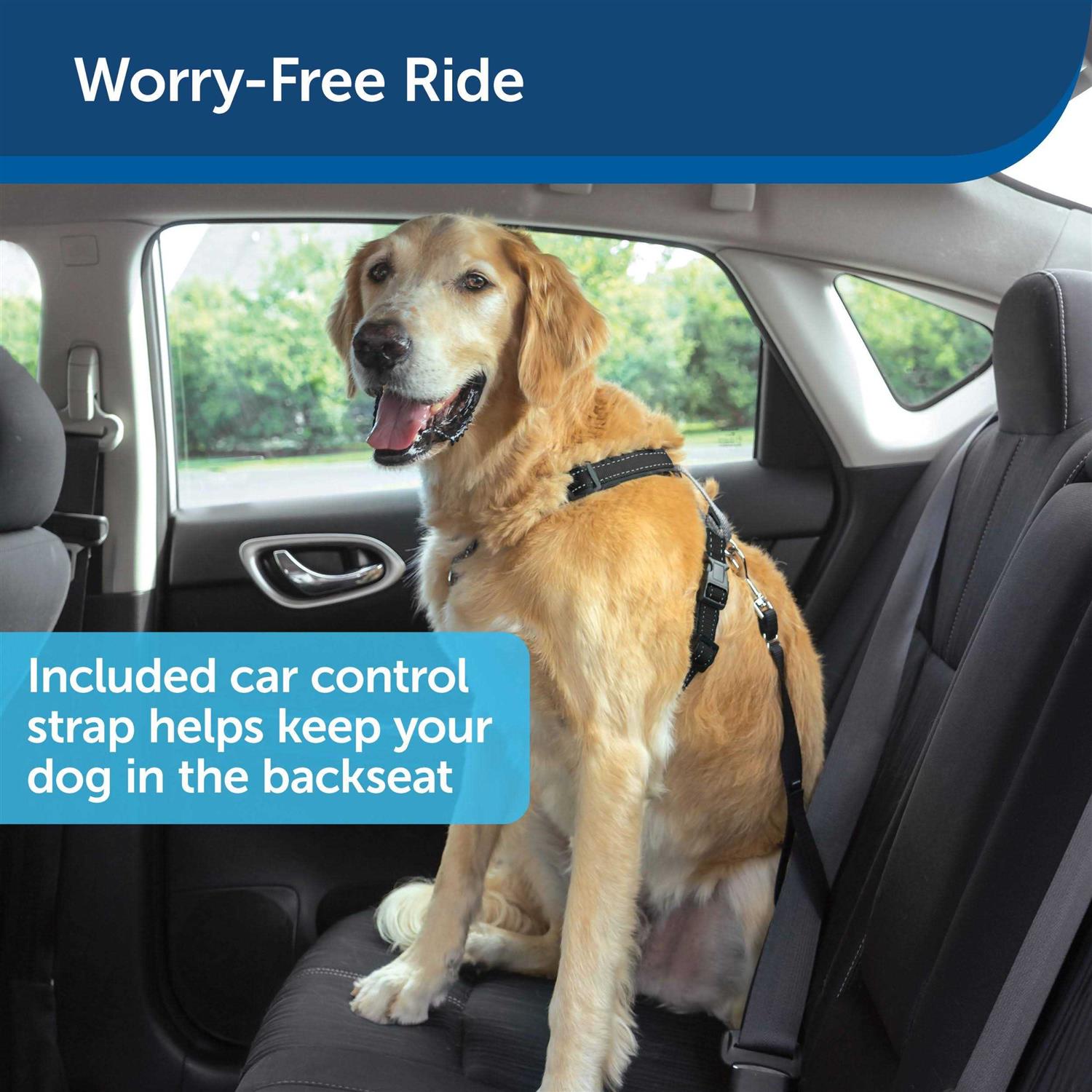 PetSafe 3 in 1 Harness with Two Point Control Leash