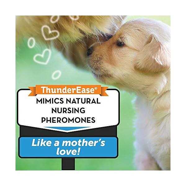 ThunderEase Calming Diffuser Kit Dog