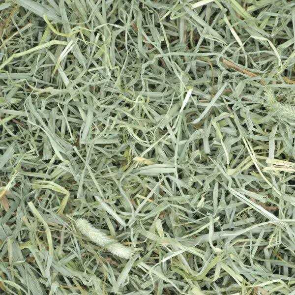 Oxbow Prime Cut Soft & Lush Timothy Hay Small Pet Food