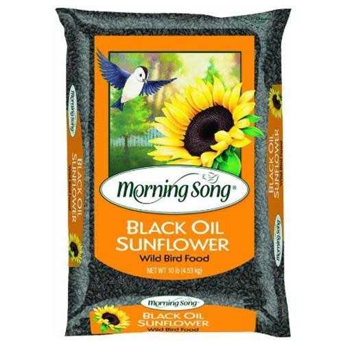 Morning Song Black Oil Sunflower Wild Bird Food