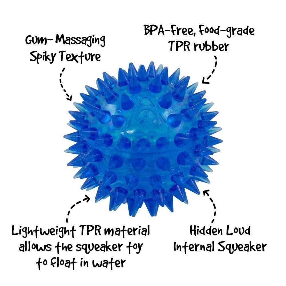 Gnawsome Squeaker Ball Dog Toy