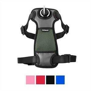 Frisco Padded Nylon No Pull Dog Harness