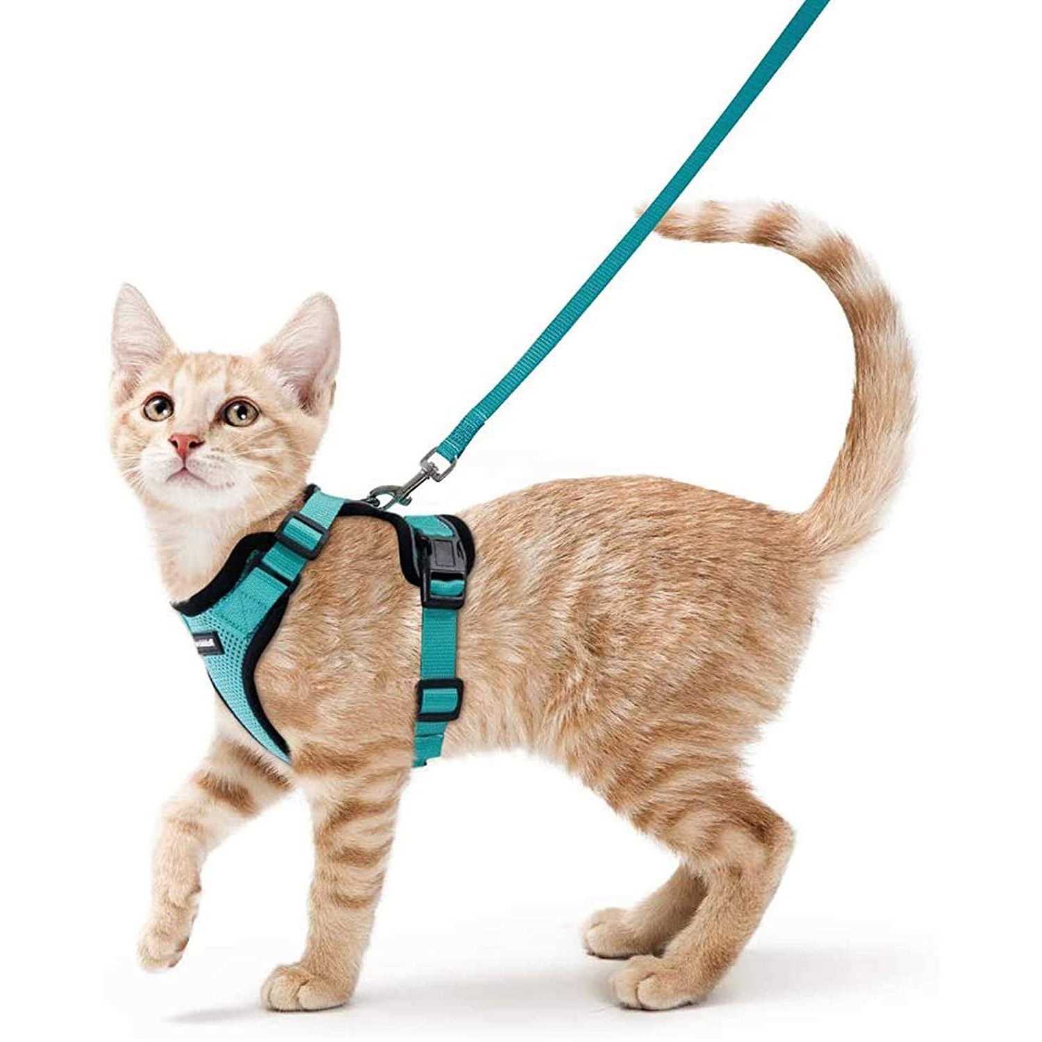 Rabbitgoo Cat Harness and Leash for Walking Escape Proof Soft Adjustable Vest Harnesses for Cats