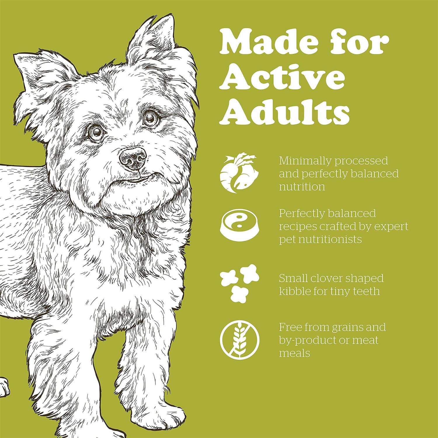 Now Fresh Grain-Free Small Breed adult Recipe Dry Dog Food