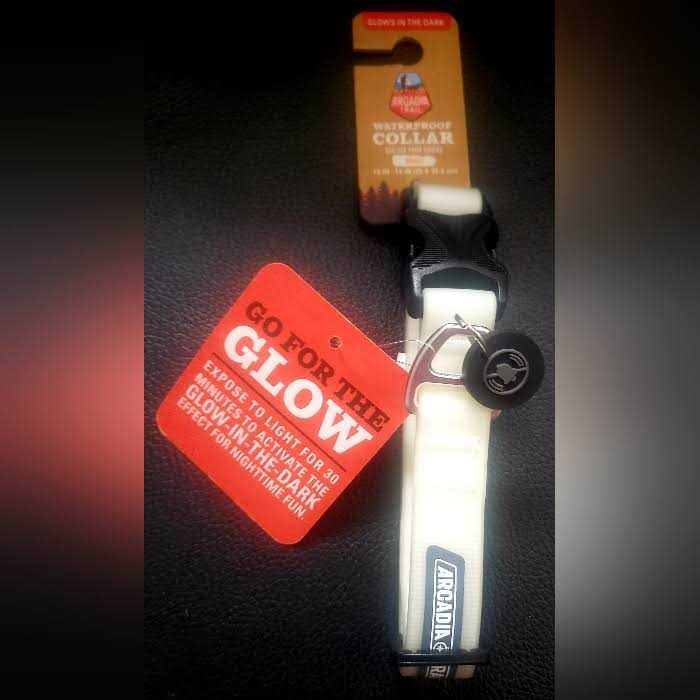 Arcadia Trail Glow Waterproof Stink-Free Dog Collar