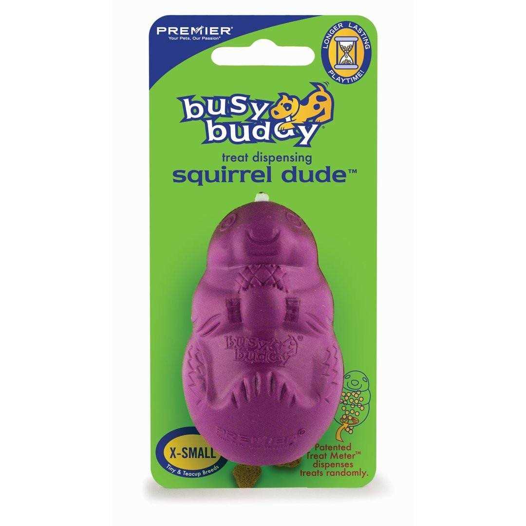 Busy Buddy Squirrel Dude Dog Toy