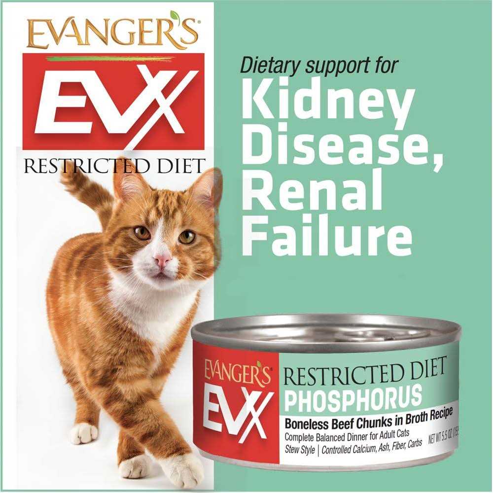 Evangers Beef Tips with Gravy Canned Cat Food