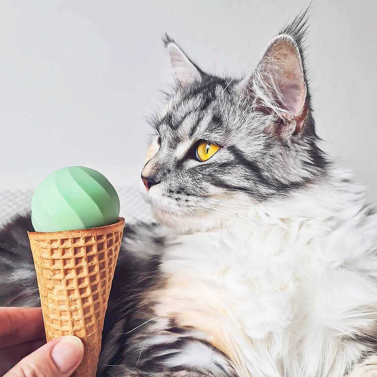 Cheerble Ice Cream Ball Smart Interactive Cat Toy Ball