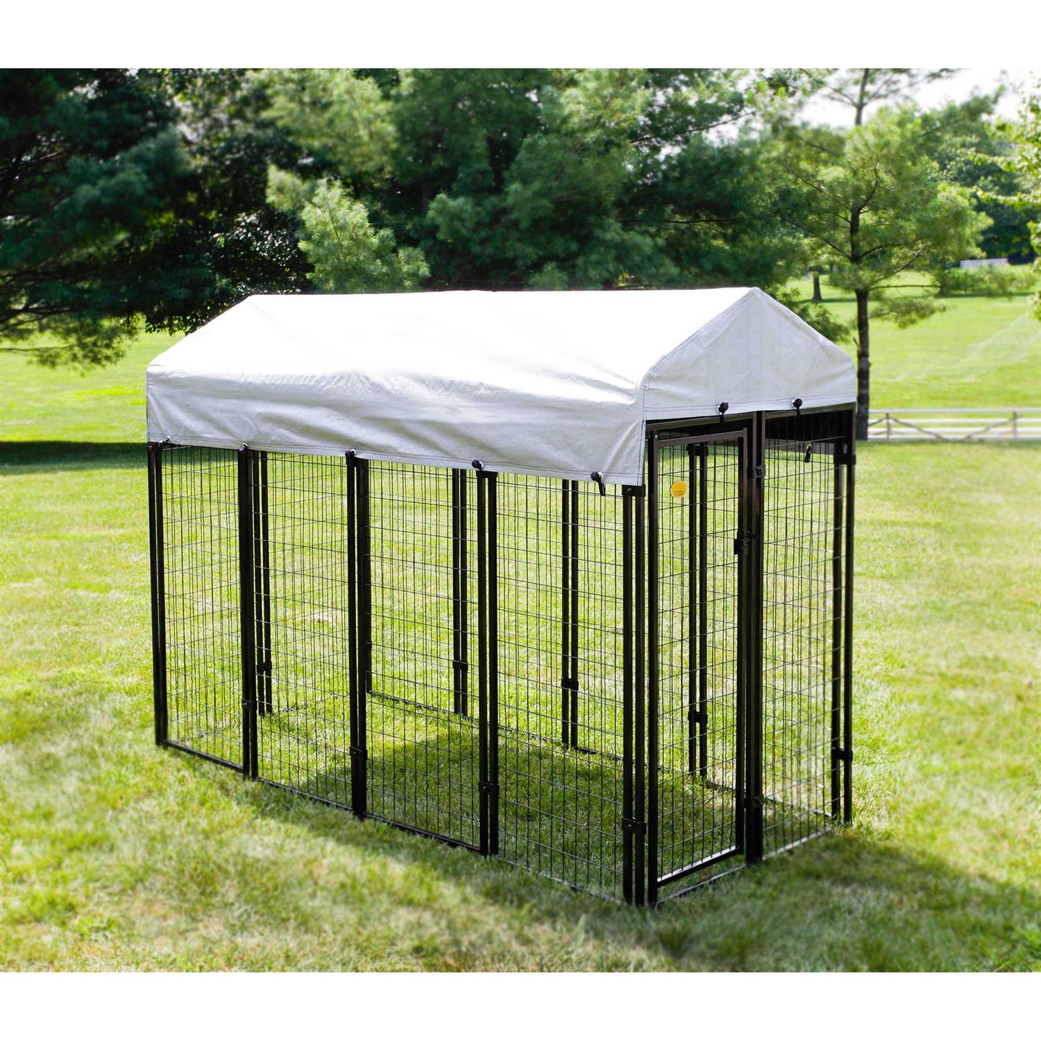 Kennelmaster Black Welded Wire Dog Kennel, 8 ft. x 4 ft. x 6 ft, Size: 96 inch x 48 inch x 72 inch