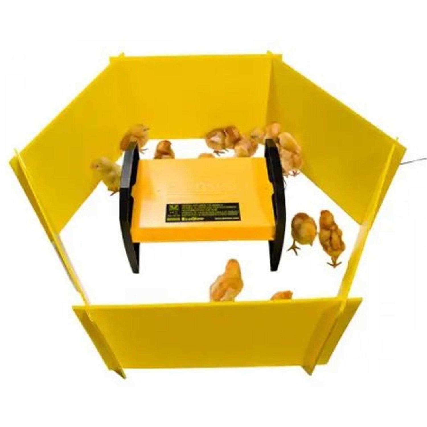 Brinsea Chick Brooder Enclosure Panels