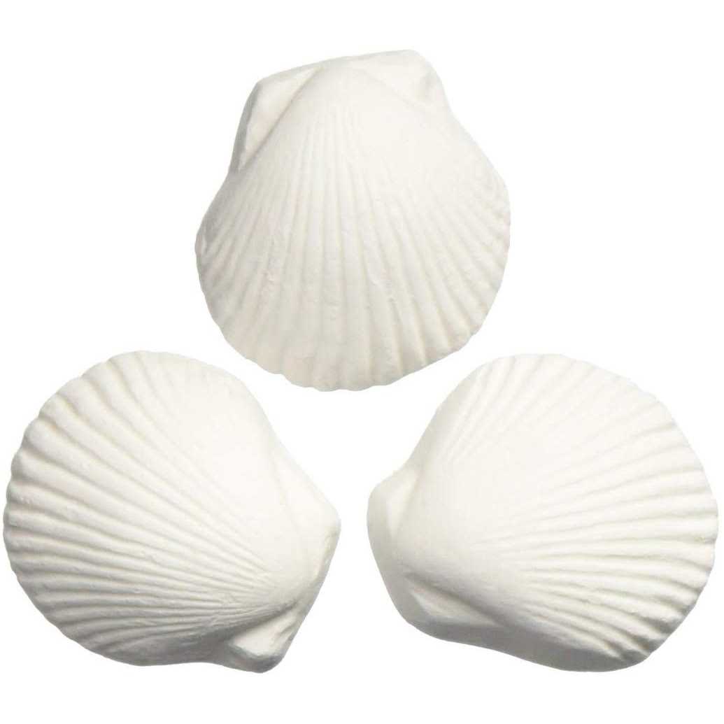 Weco Wonder Shell-Large