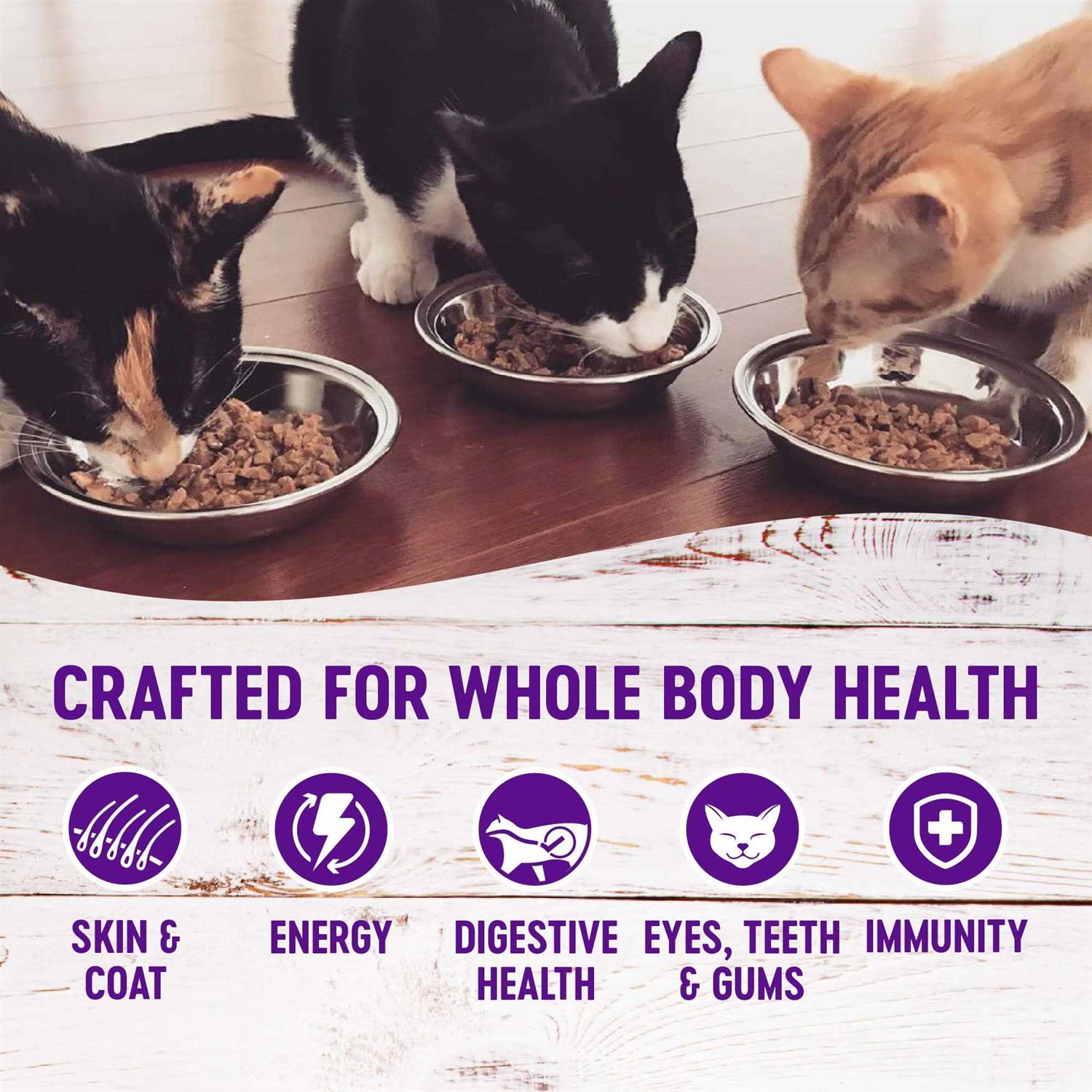 Wellness Healthy Indulgence Grain-Free Gravies Variety Pack Wet Cat Food Pouch