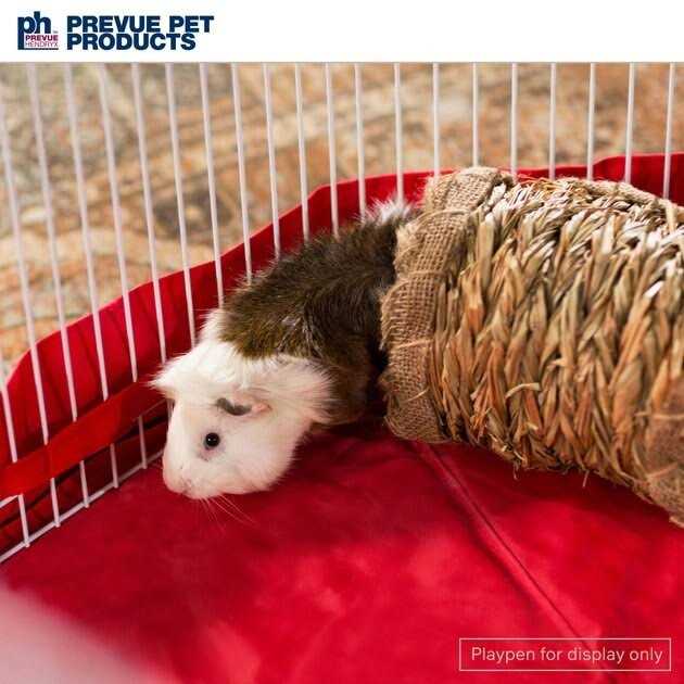 Prevue Pet Products Grass Tunnel