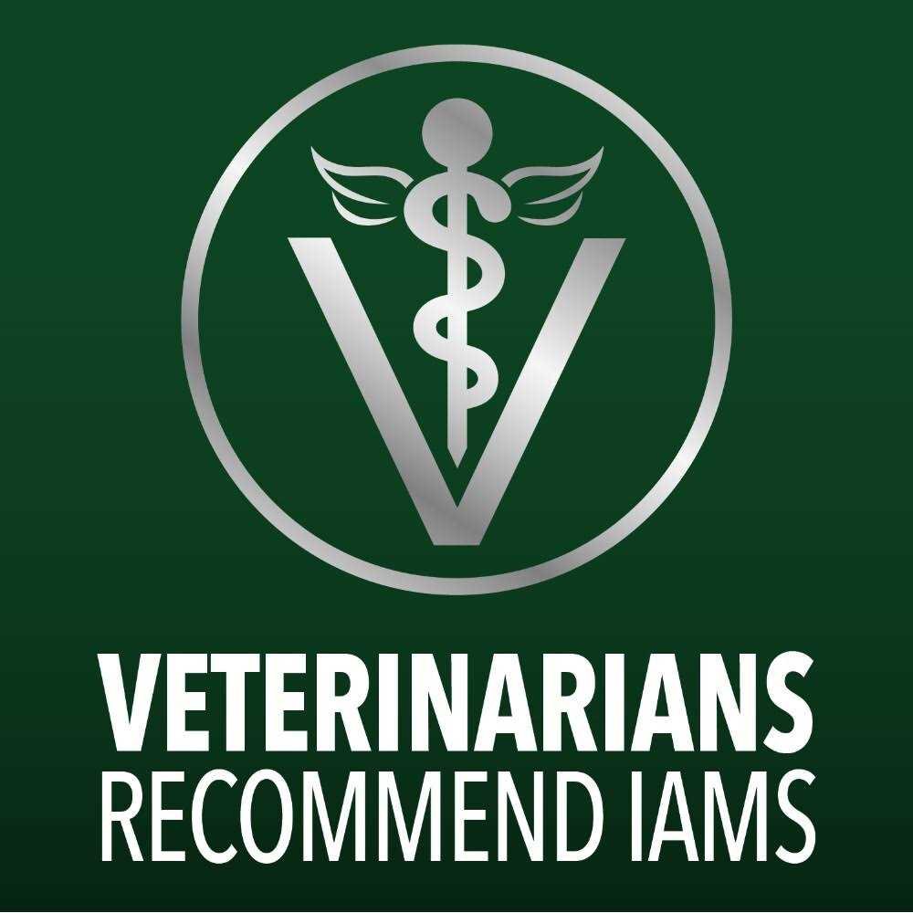 IAMS Advanced Health Skin & Coat Chicken and Salmon Recipe Dry Dog Food