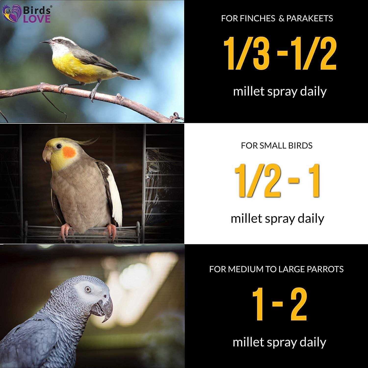 Birds LOVE Wholesome & Lovely Spray Millet GMO Free No Pesticide for Parrots Cockatiel Lovebird Parakeet Finch Canary